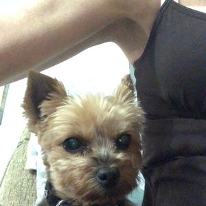 Meet your Posher, Ronnie